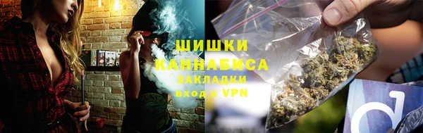 сатива Богородицк