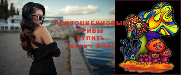 ешки Богородск
