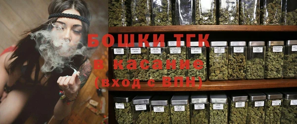 сатива Богородицк