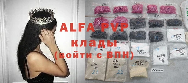 сатива Богородицк