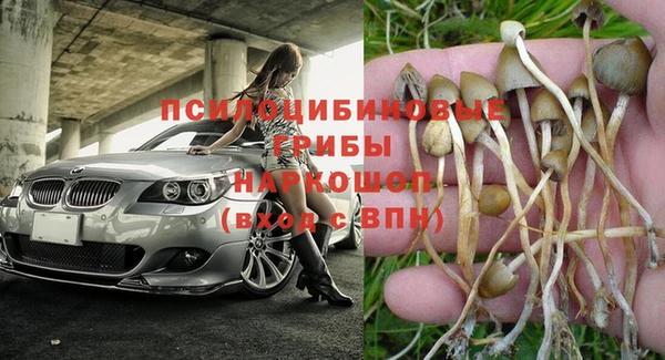 каннабис Богданович