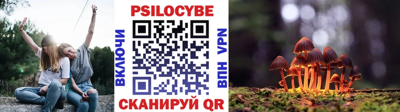 Псилоцибиновые грибы мухоморы  Купить где  Катав-Ивановск 