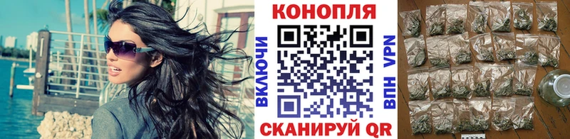 Купить  Катав-Ивановск  Канабис семена 